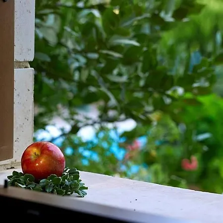 Estate Alkioni * Vederoi